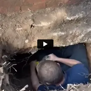 A man in blue shirt laying in a hole.